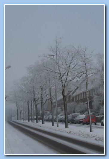 Arnhem Snow 021